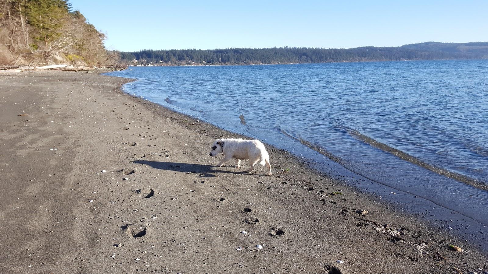 Sandee Adelma Beach