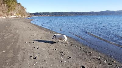 Sandee - Adelma Beach