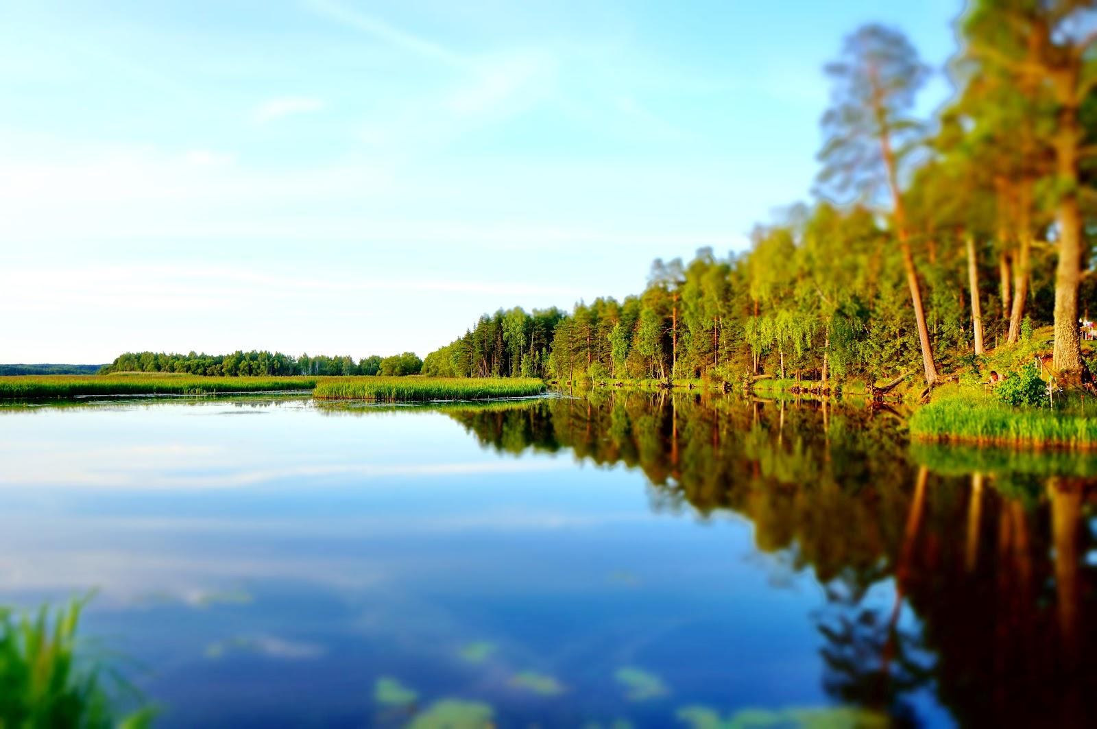 Sandee - Vileyka Reservoir