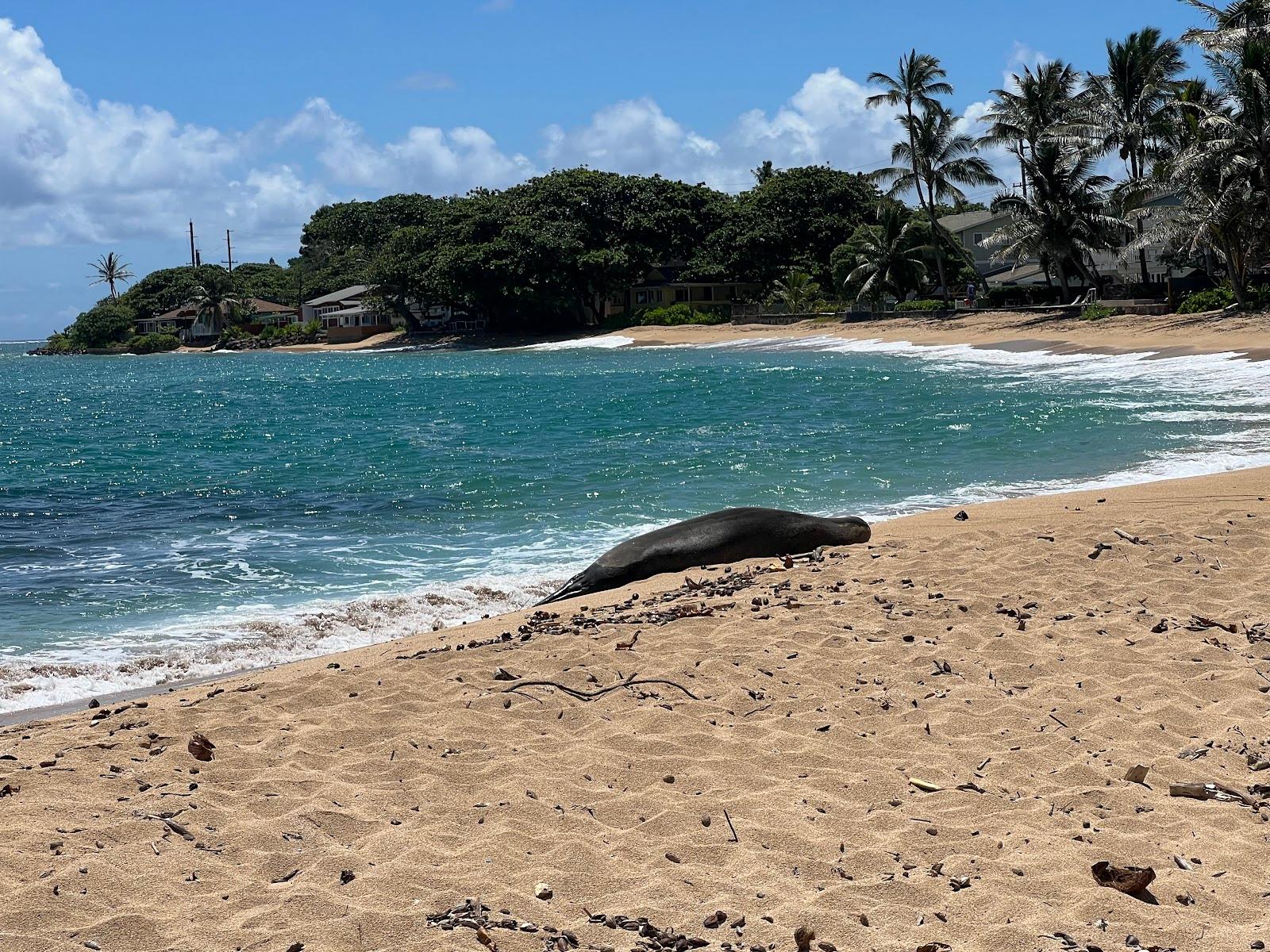 Sandee - Hauula Beach