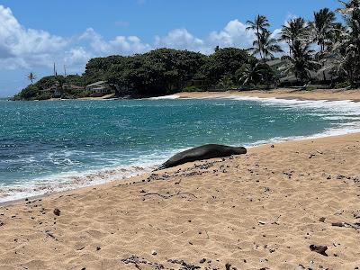 Sandee - Hauula Beach