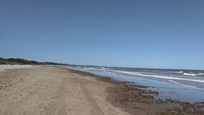 Sandee - Palmares De La Coronilla Beach