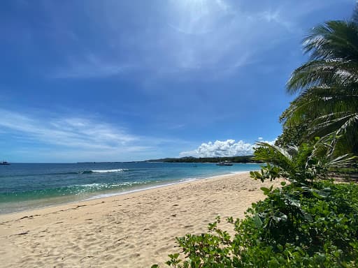 Sandee Debonaires Beach Resort Photo