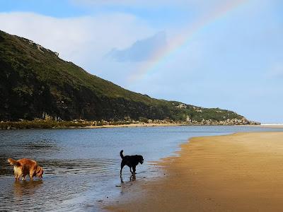 Sandee - Praia Da Foz Do Lizandro