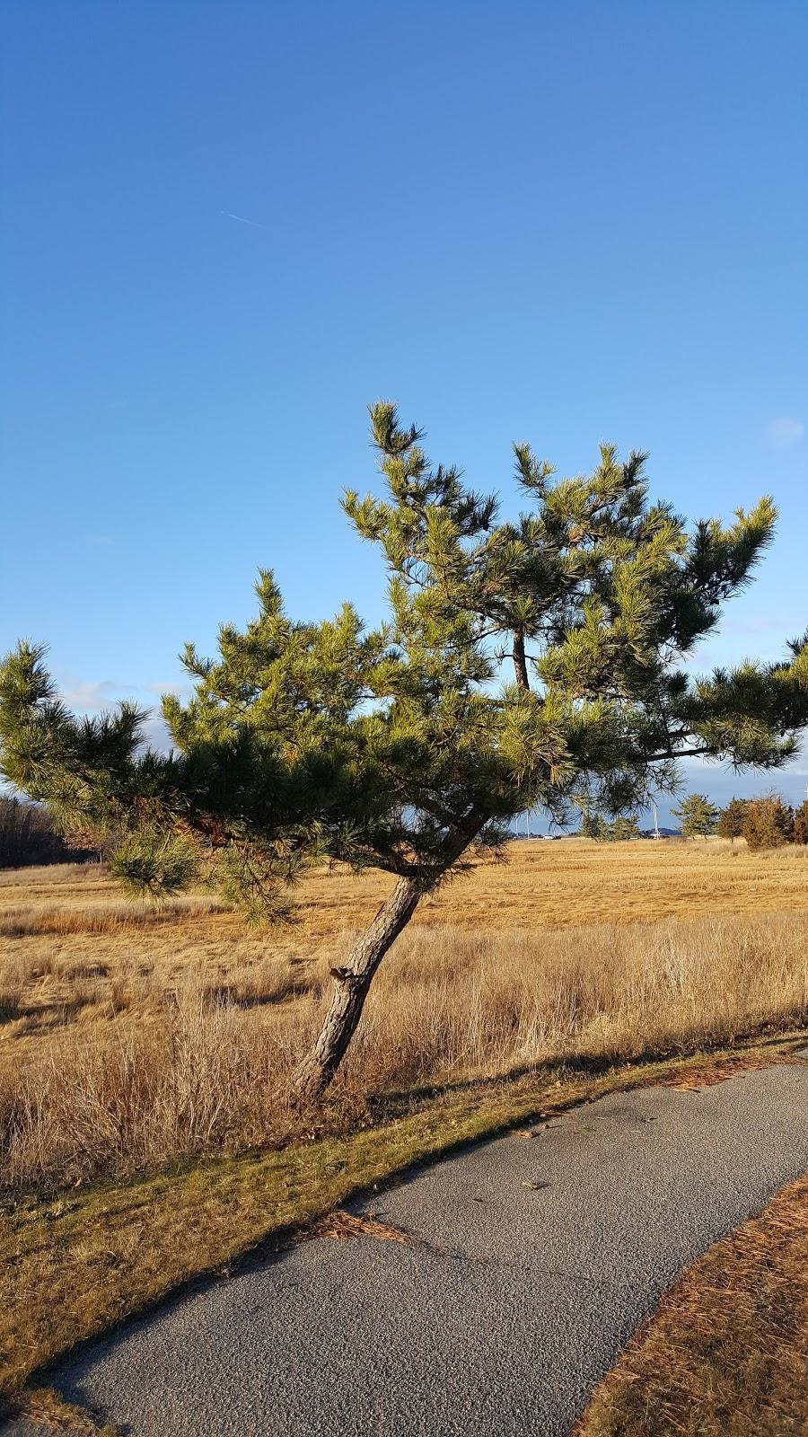 Sandee Caddy Memorial Park
