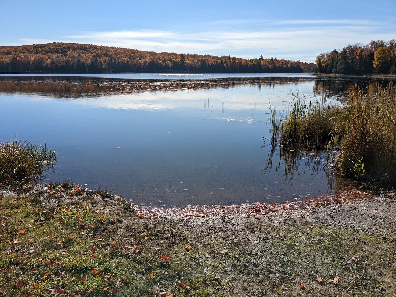 Sandee Bobcat Lake Campground Photo