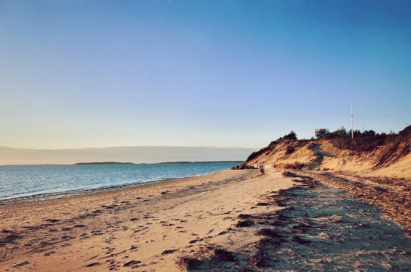 Sandee Lieutenant Island Beach