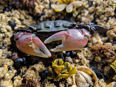 Sandee - Yachats State Recreation Area