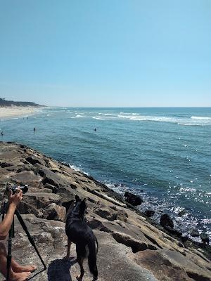 Sandee - Praia Da Base De Maceda