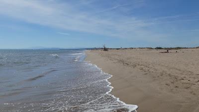 Sandee - Plage Des Orpelliere