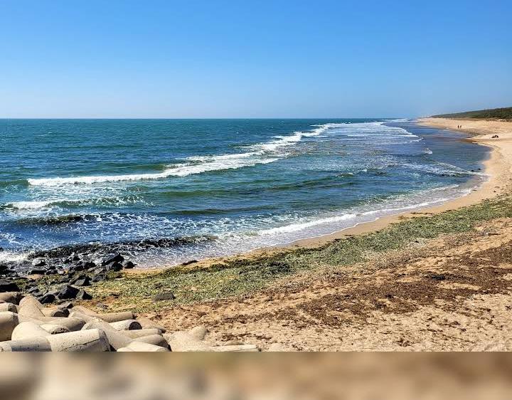 Sandee Mangrol Beach