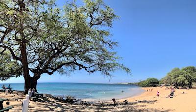 Sandee - Ohai'Ula Beach