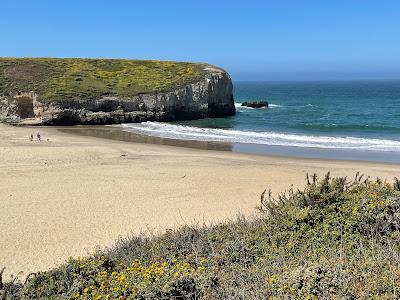 Sandee - Coast Dairies State Park - Davenport Pier Beach