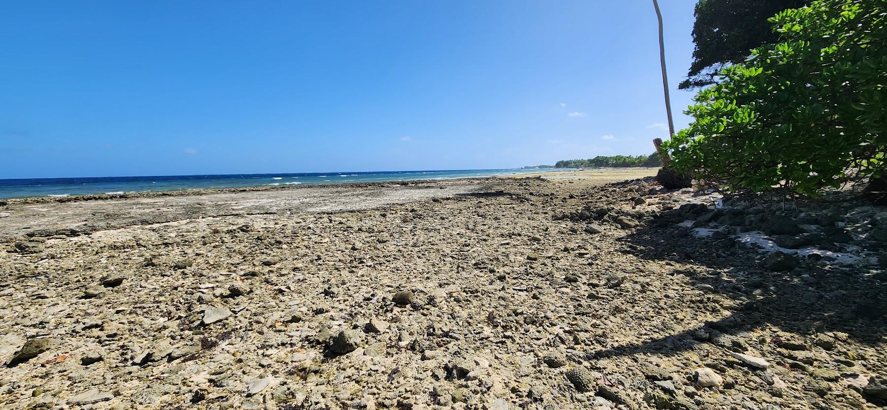 Sandee Majuro Peace Park Photo