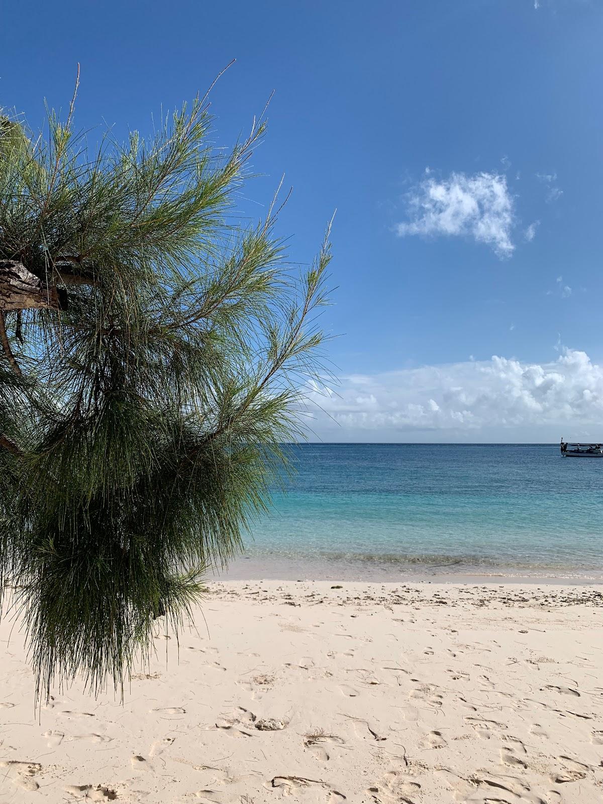 Sandee Pantai Tanjung Pasir Putih Sukaramai Photo