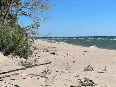 Sandee - Buchanan Beach