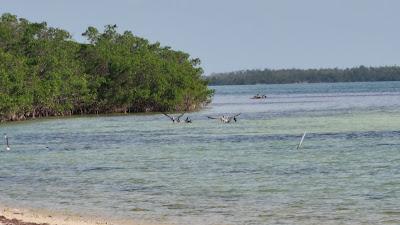 Sandee - Geiger Beach