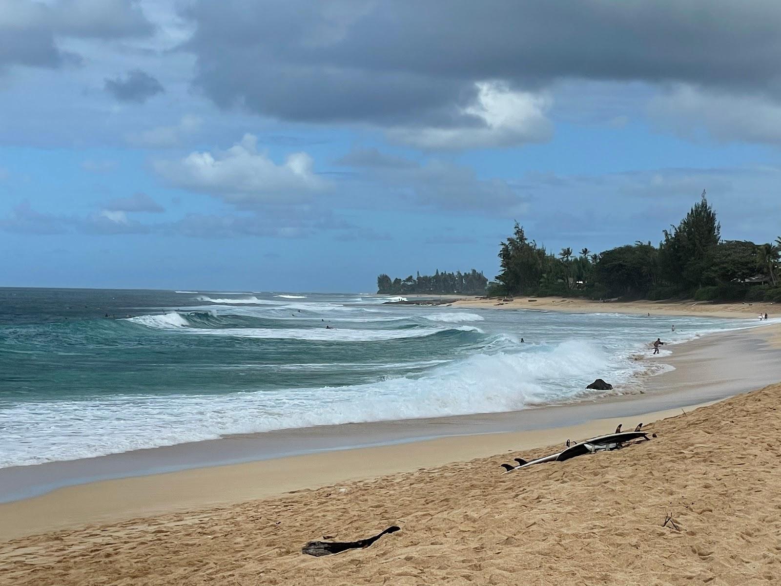 Sandee - Ehukai Beach Park