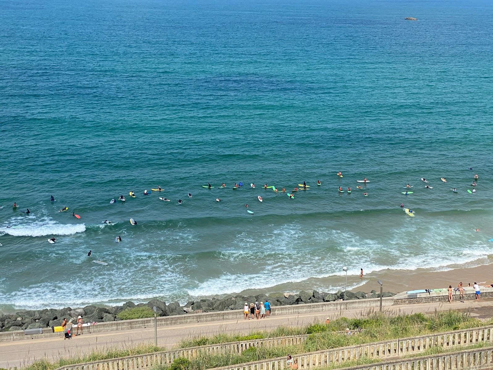 Sandee - Basques Beach