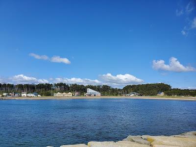 Sandee - Tamamatsu Beach