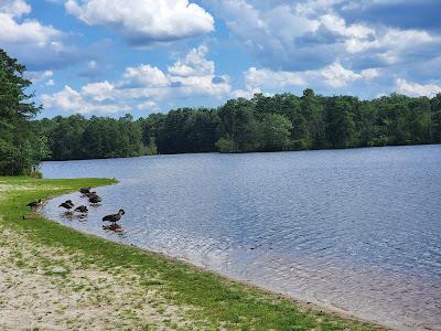 Sandee - Bianchini Beach & Park