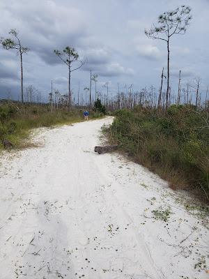 Sandee - Crooked Island Beach