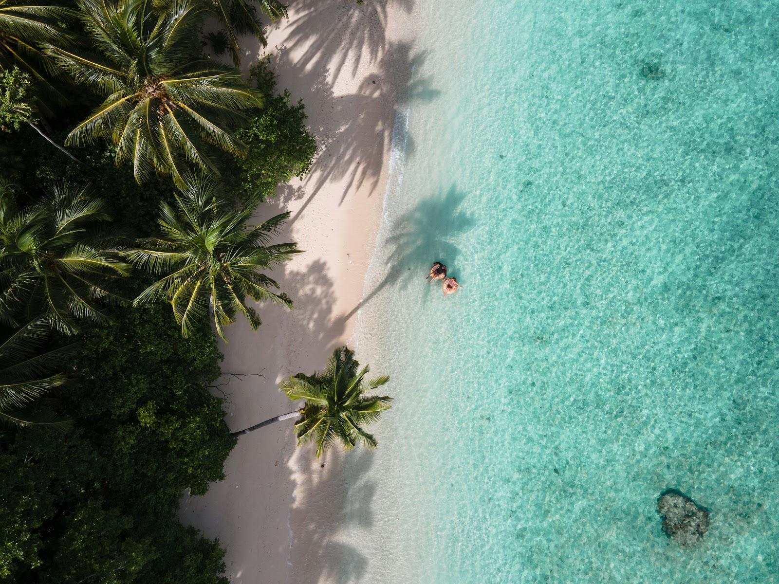 Sandee Togat Nusa Retreat Mentawai Surf Resort