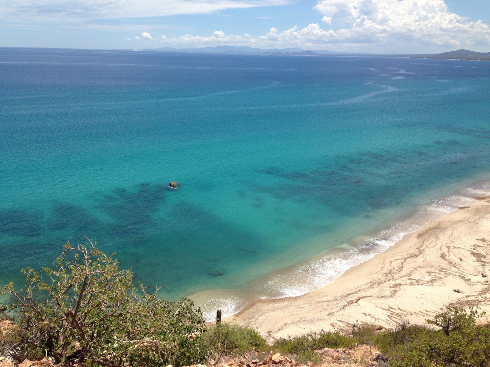 Sandee Playa Palo Blanquito Photo