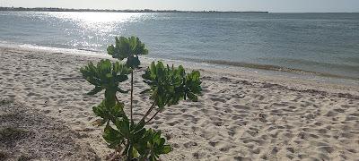 Sandee - Gulfside Beach