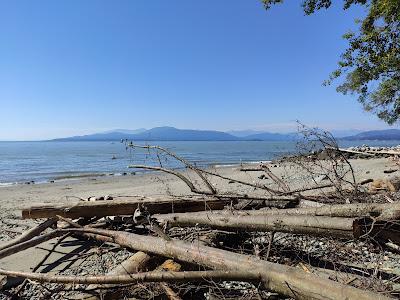 Sandee - Wreck Beach