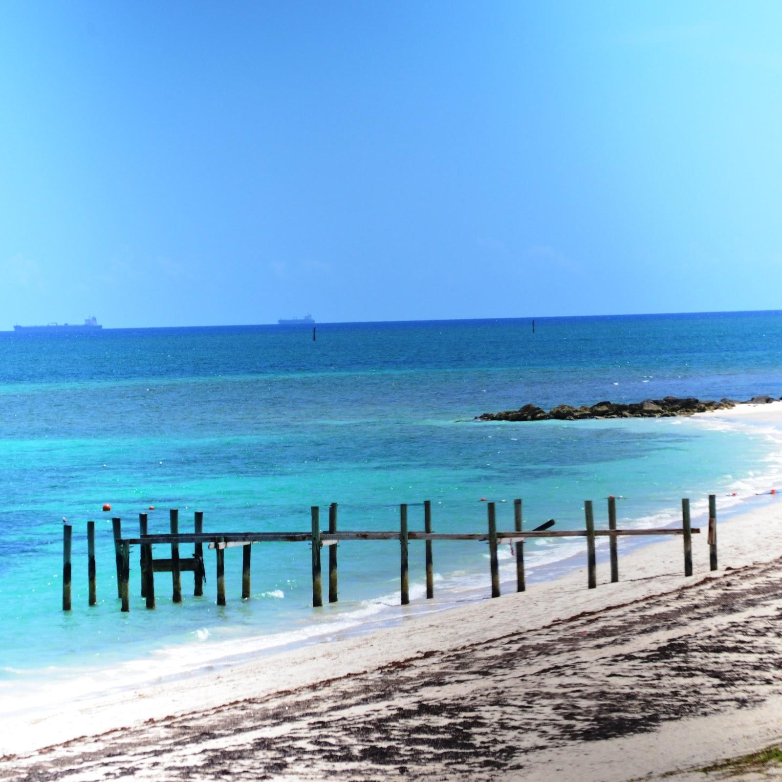 Sandee Smiths Point Beach Photo