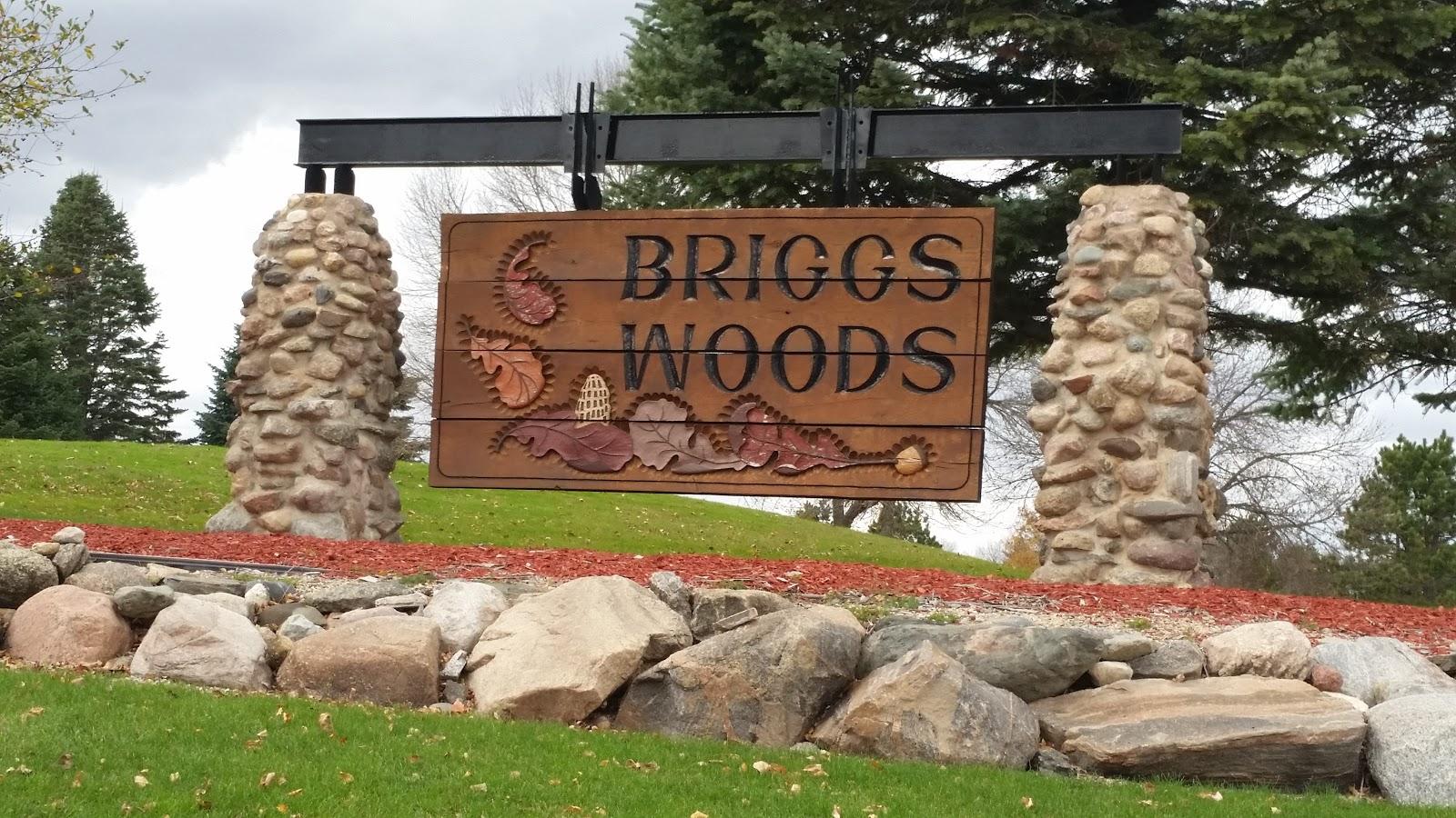 Sandee Briggs Woods Park