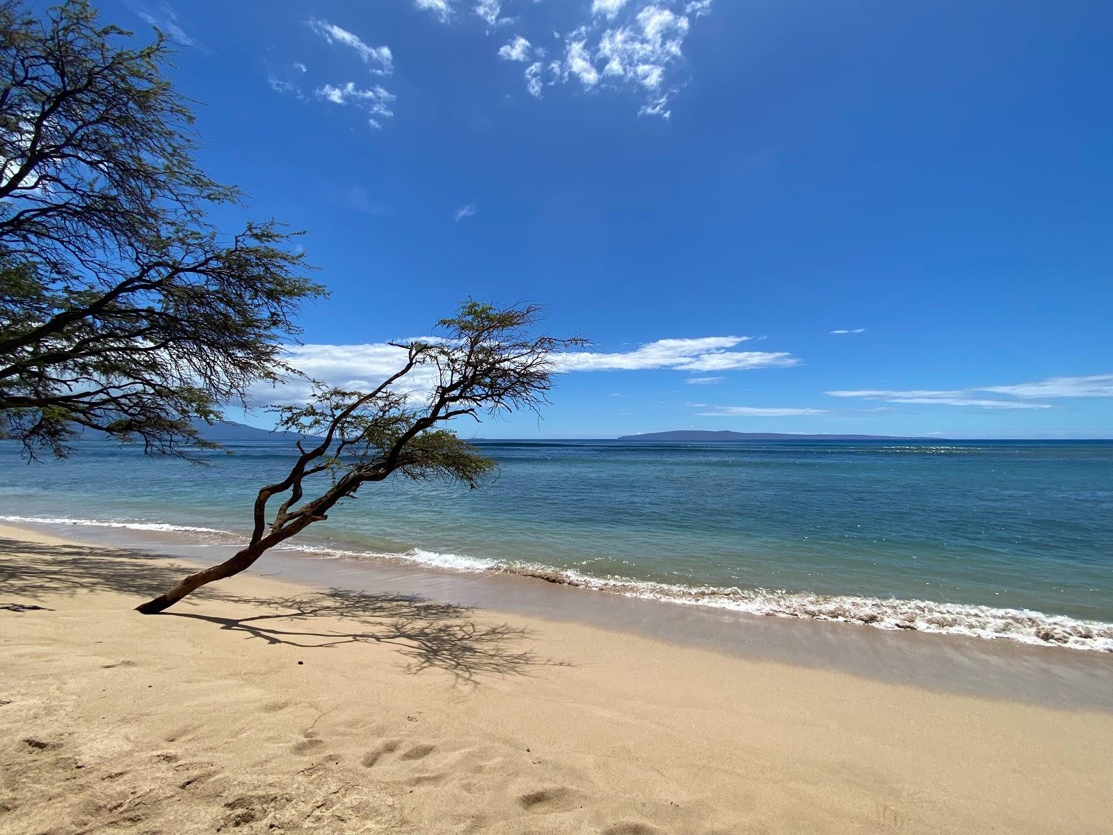 Sandee - Papalaua Beach Park