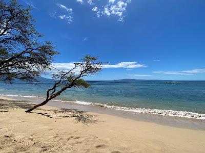 Sandee - Papalaua Beach Park