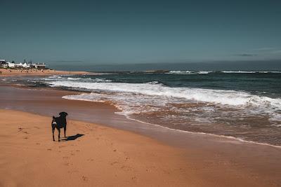 Sandee - Plage Des Contrebandiers