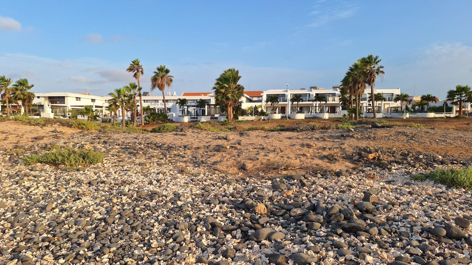 Sandee - Shell Cemetery Beach