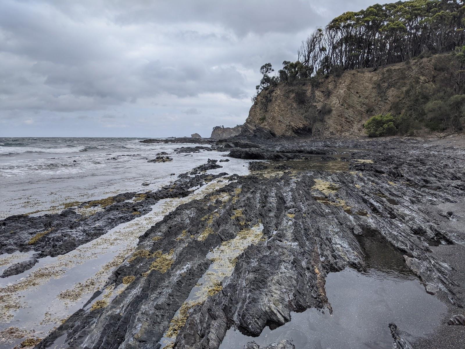 Sandee Honeysuckle Beach