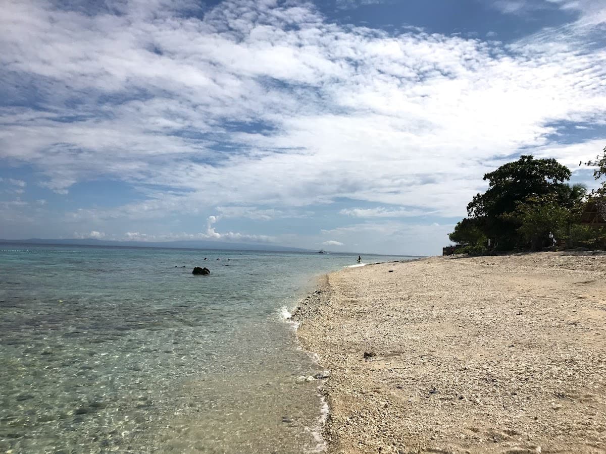 Sandee Sumilon Island Beach Photo