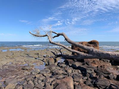 Sandee - Groot's Beach