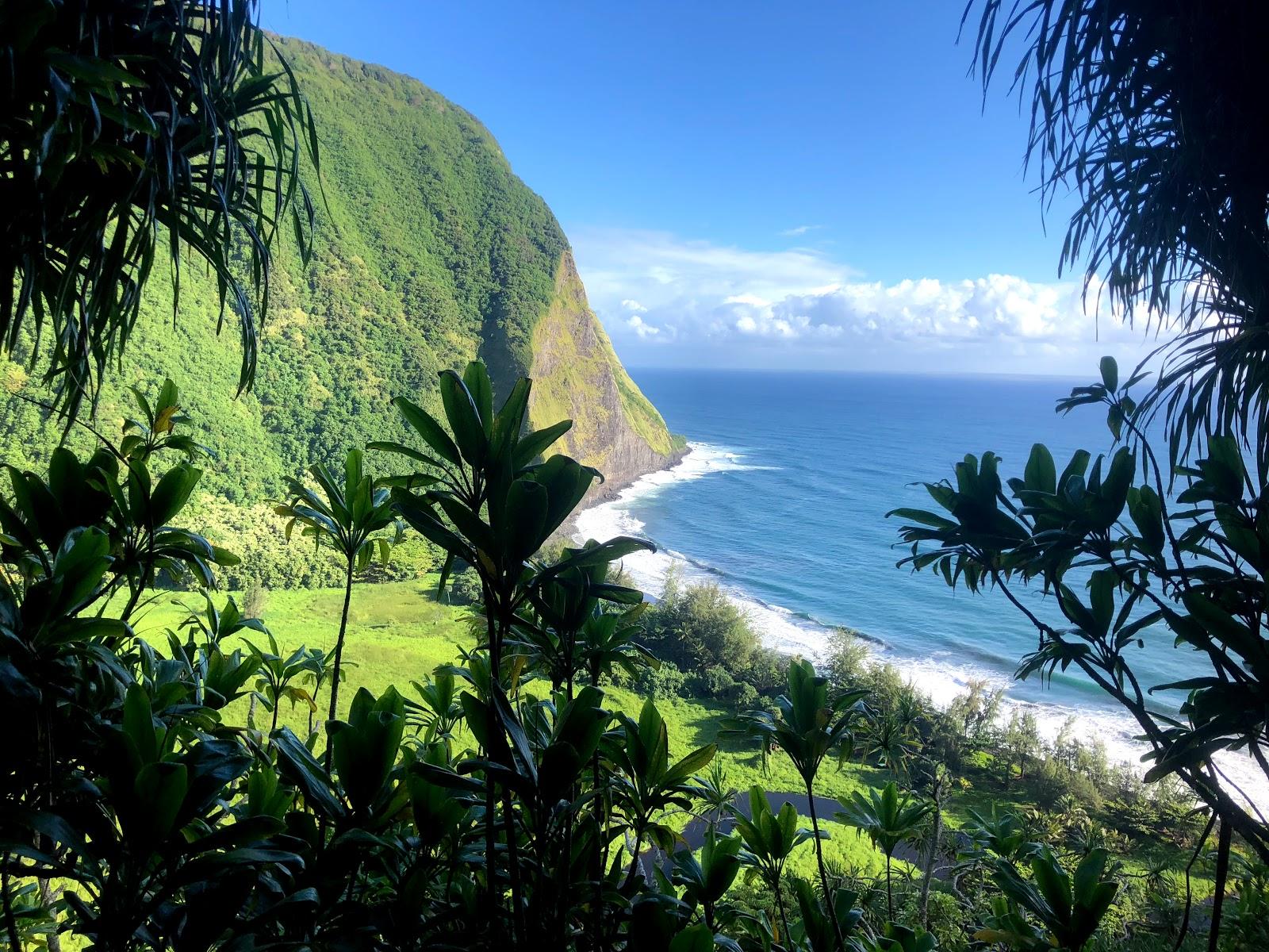 Sandee Waimanu Bay Beach