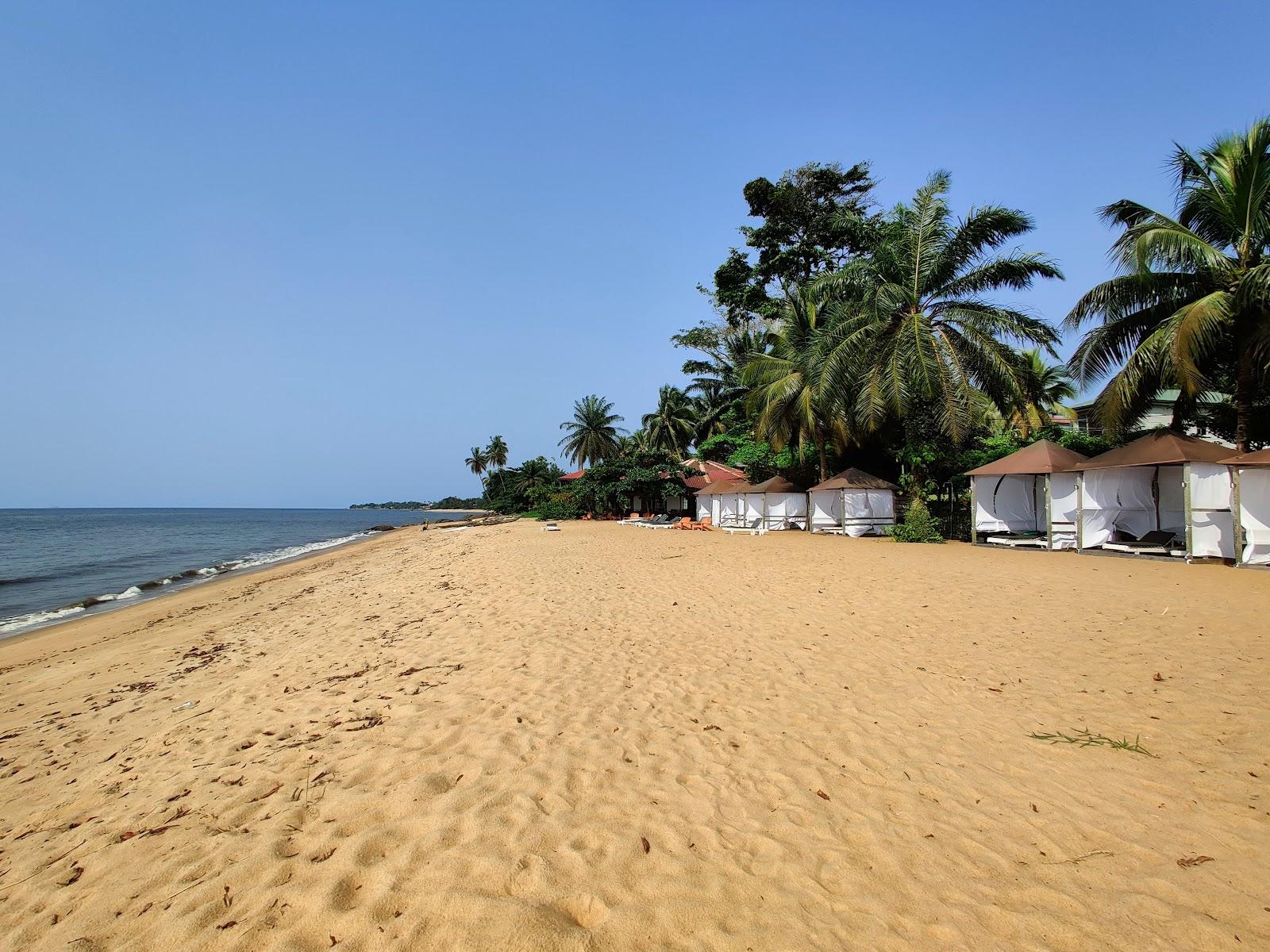 Sandee - Hotel Ilomba Beach