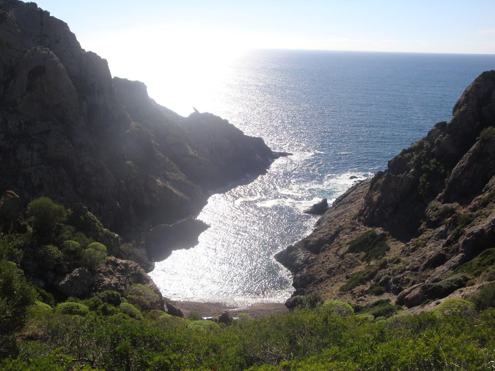 Sandee Spiaggia Di Cala Ciuncheza