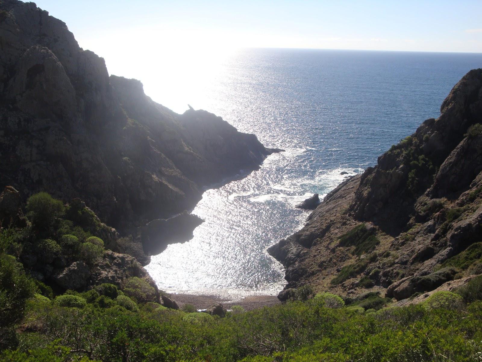 Sandee Spiaggia Di Cala Ciuncheza Photo