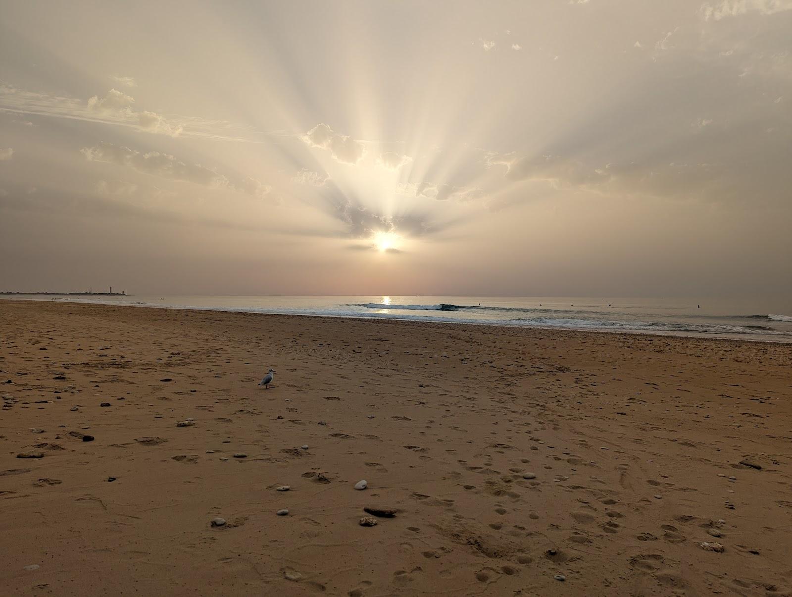 Sandee Plage Du Lizay