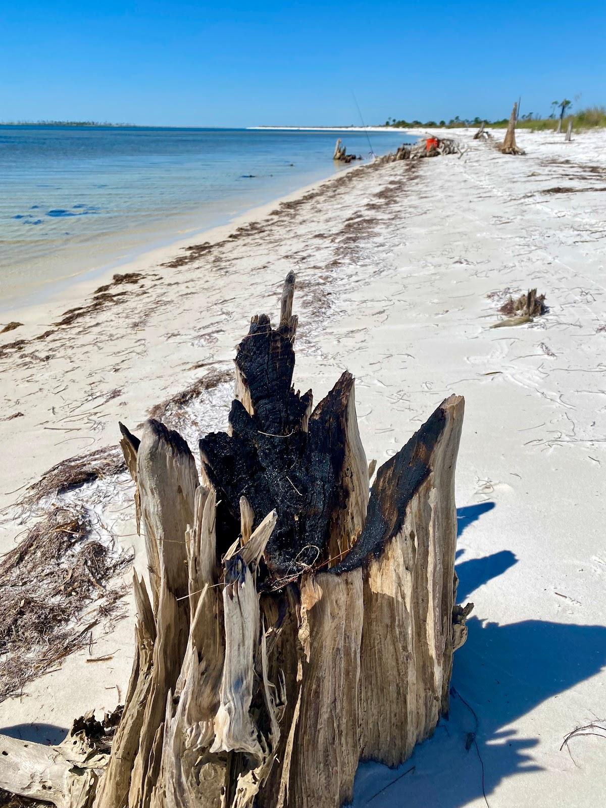 Sandee - Crooked Island Beach