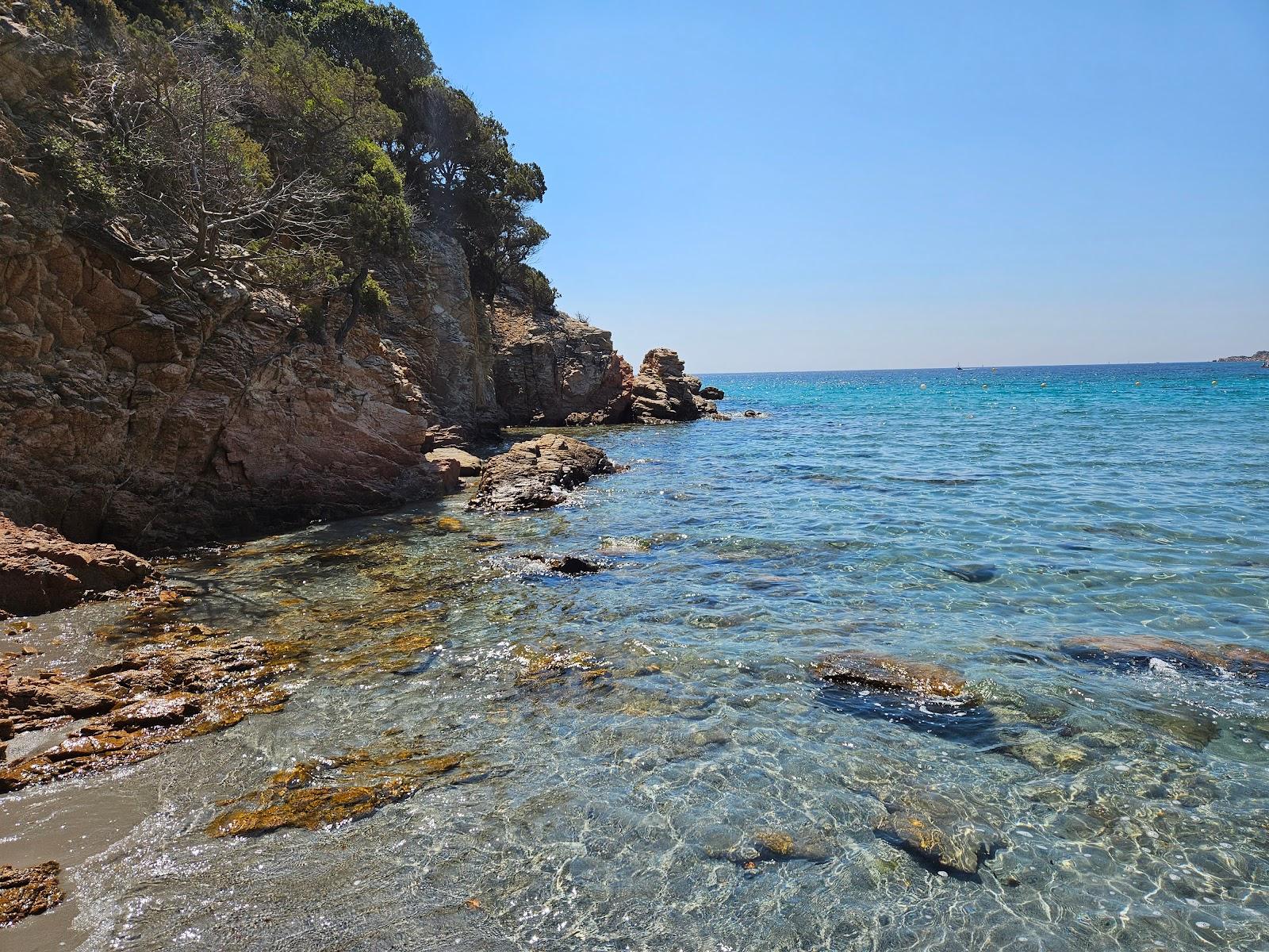 Sandee Plage De Furnellu - Arinella Di Furneddu Photo