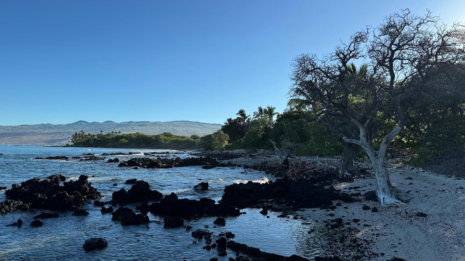 Sandee - Holoholokai Beach