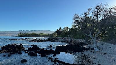 Sandee - Holoholokai Beach