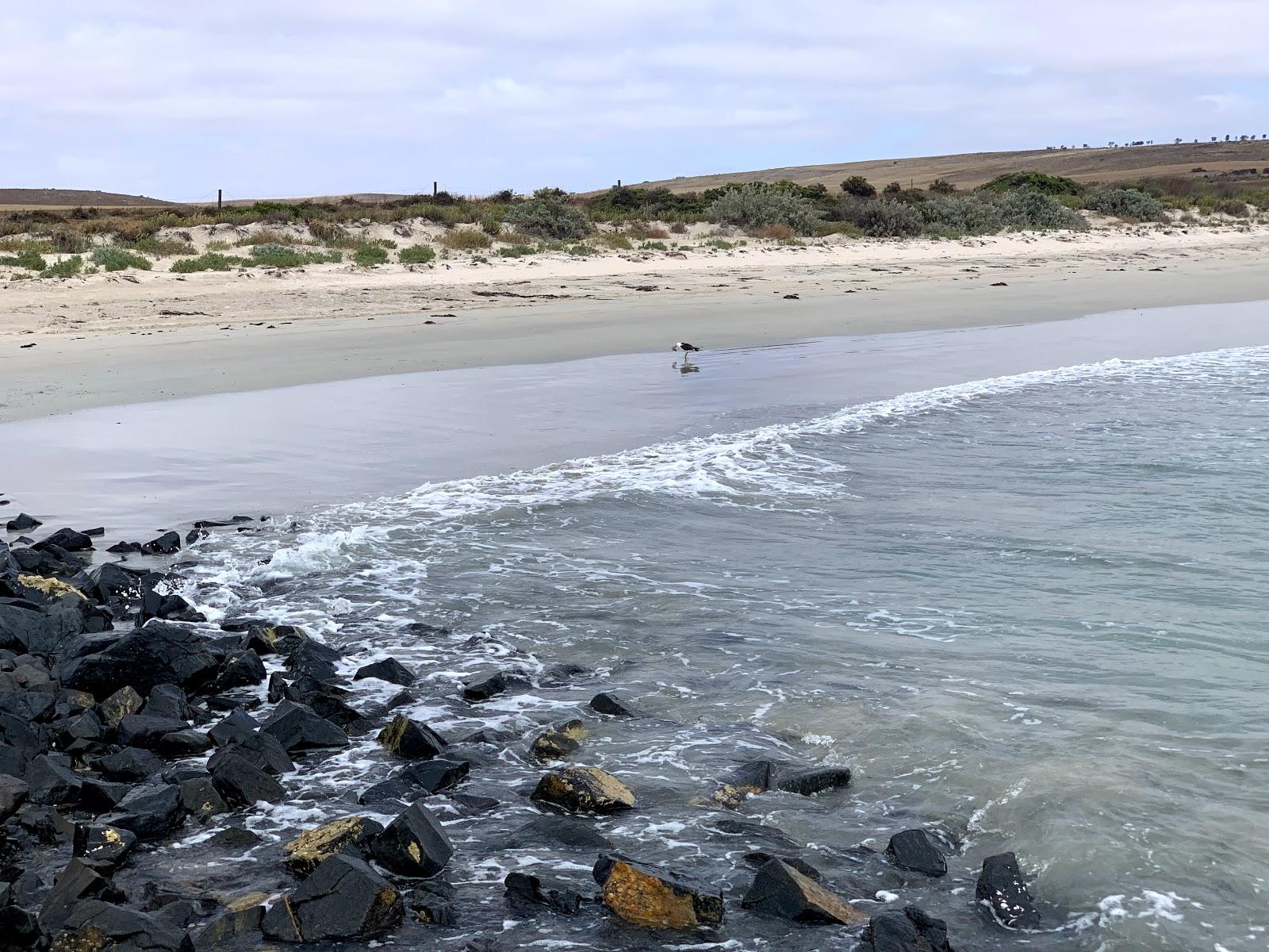 Sandee Cowleys Beach