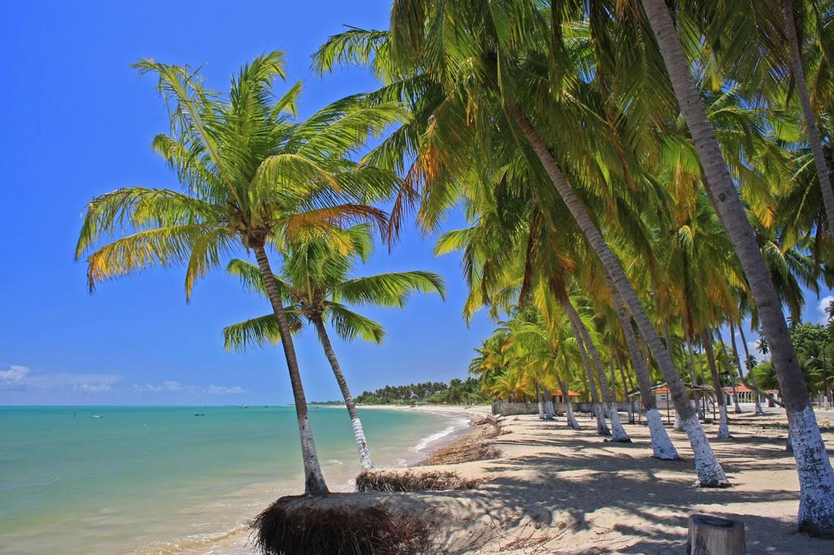 Sandee Praia De Paripueira